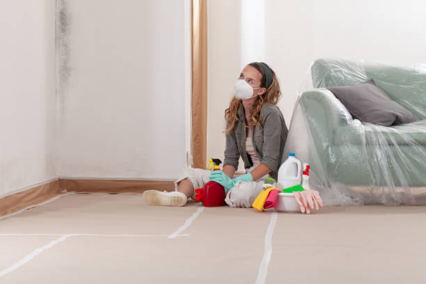Reliable Hvac And Air Duct Mold Remediation contractor in Apex, NC by 24 Hour Mold Removal